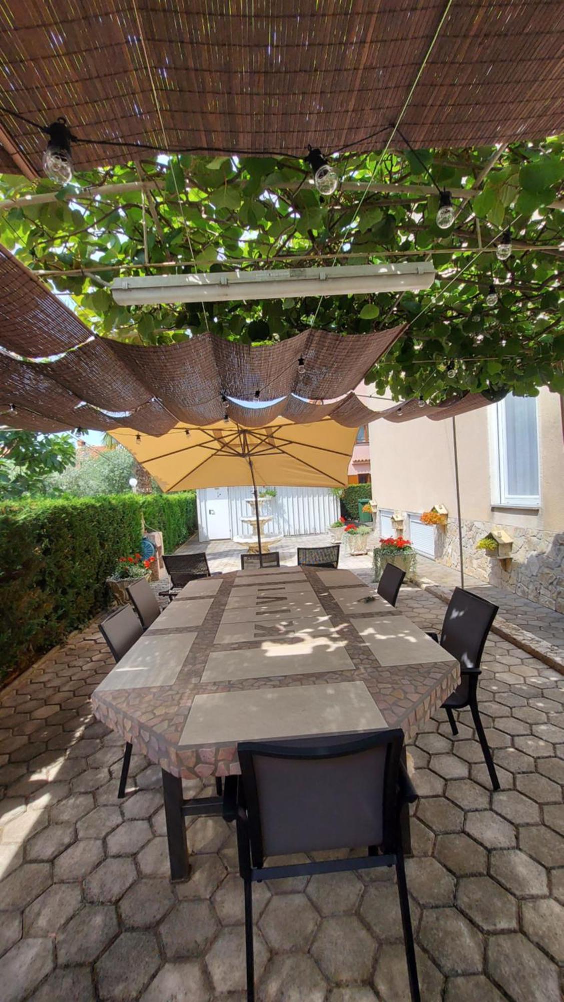 Apartments Kivi Novigrad  Exterior photo