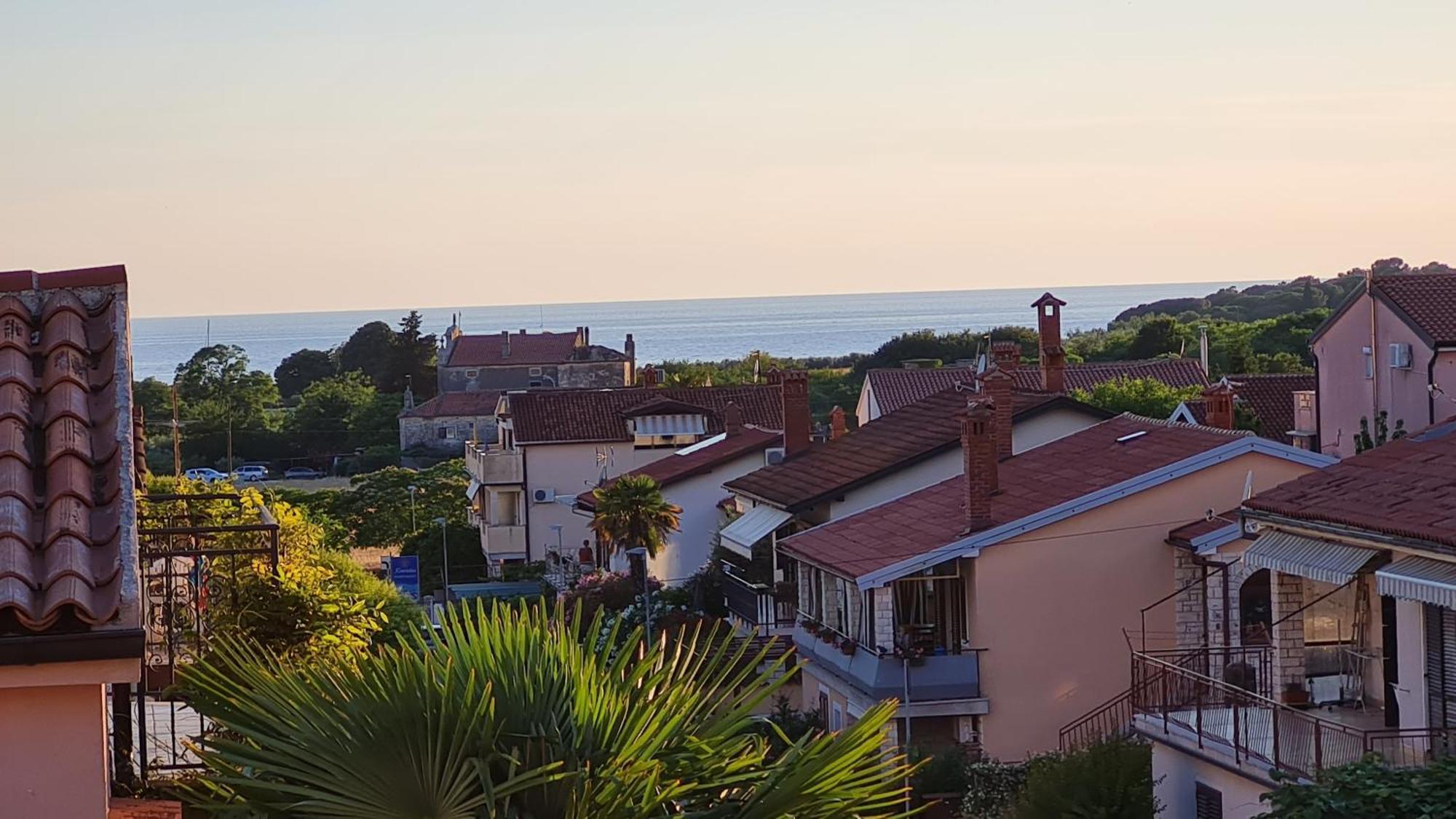 Apartments Kivi Novigrad  Exterior photo